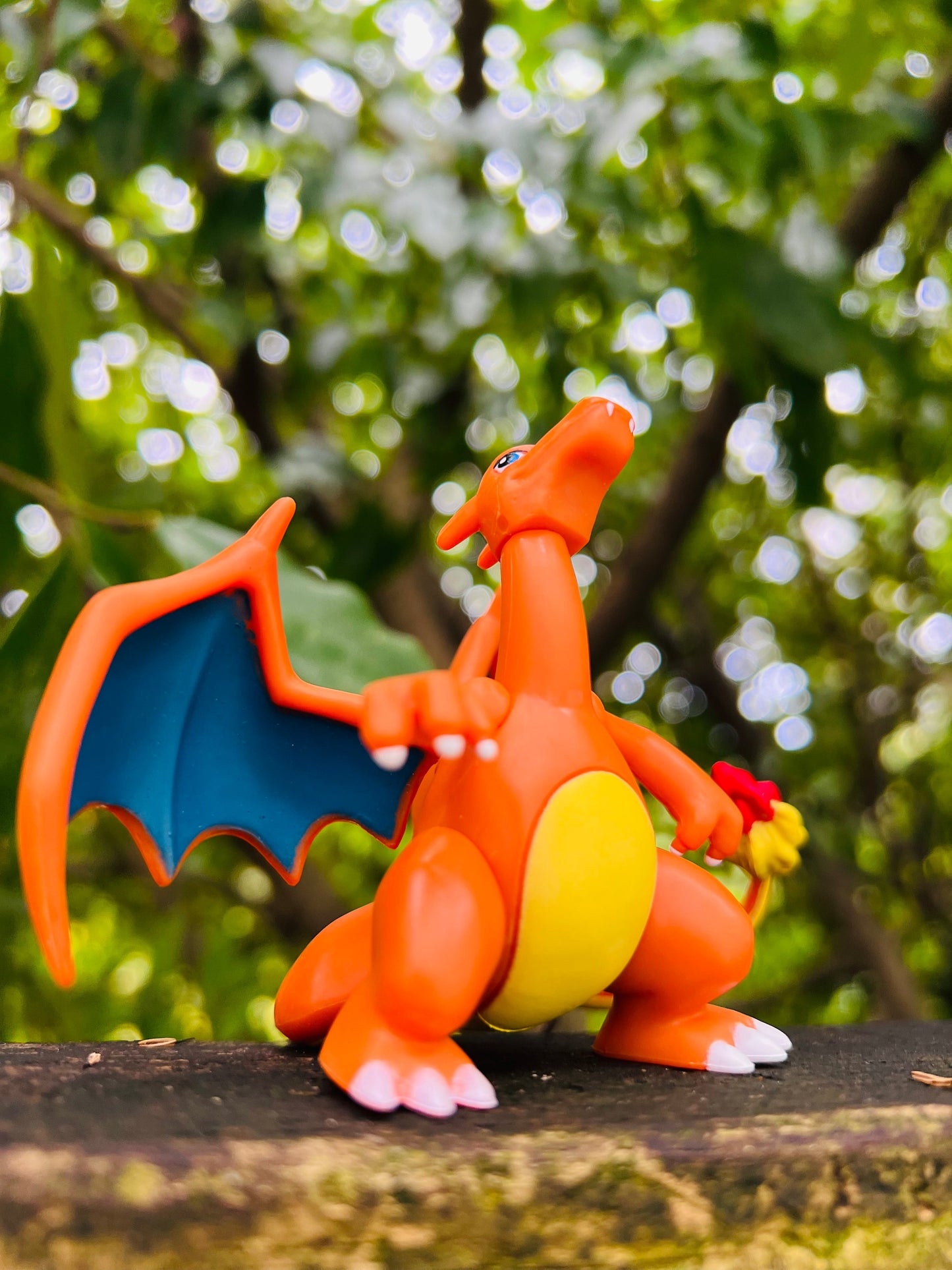 POKEMON #006 Charizard |Large