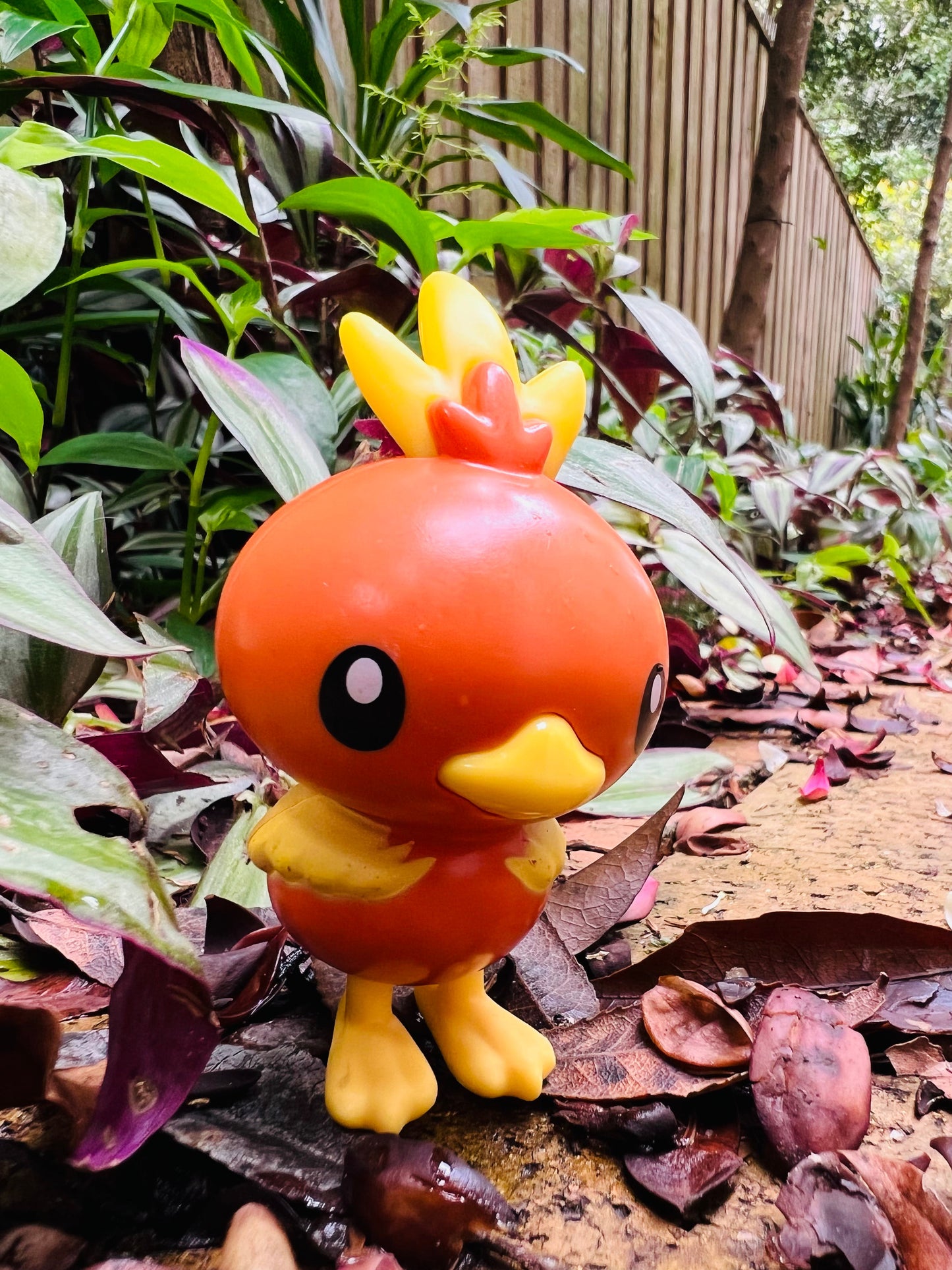 POKEMON #255 Torchic |Large