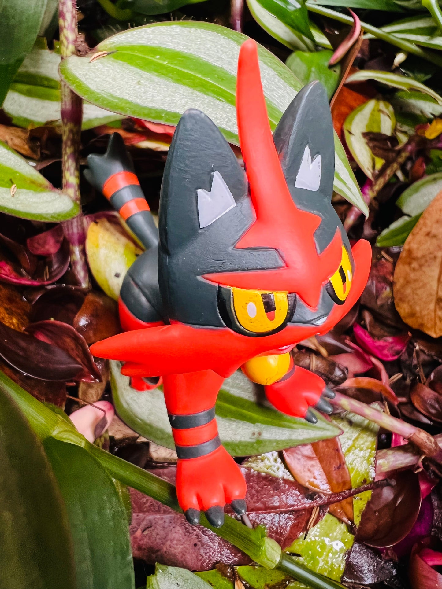 POKEMON #726 Torracat|Large